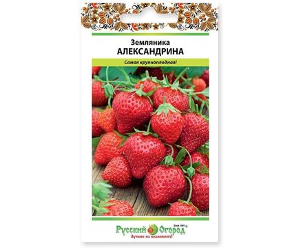 Земляника Александрина 0,05г  Русский огород
