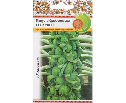 Капуста брюссельская Геркулес 1342 0,3г Русский Огород