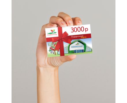 Подарочная карта на 3000 руб 