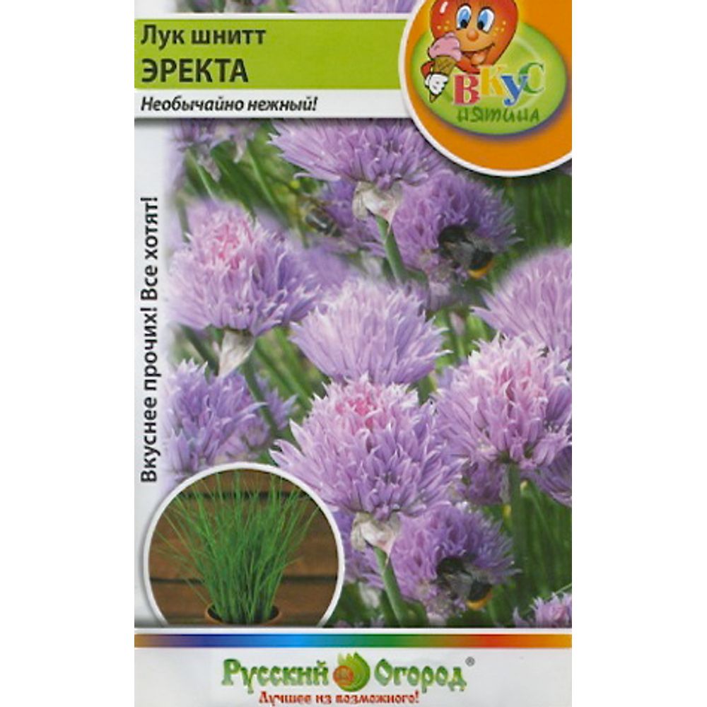Лук Шнитт Эректа Вкуснятина 0.5г Русский Огород