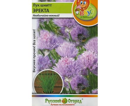 Лук Шнитт Эректа Вкуснятина 0.5г Русский Огород