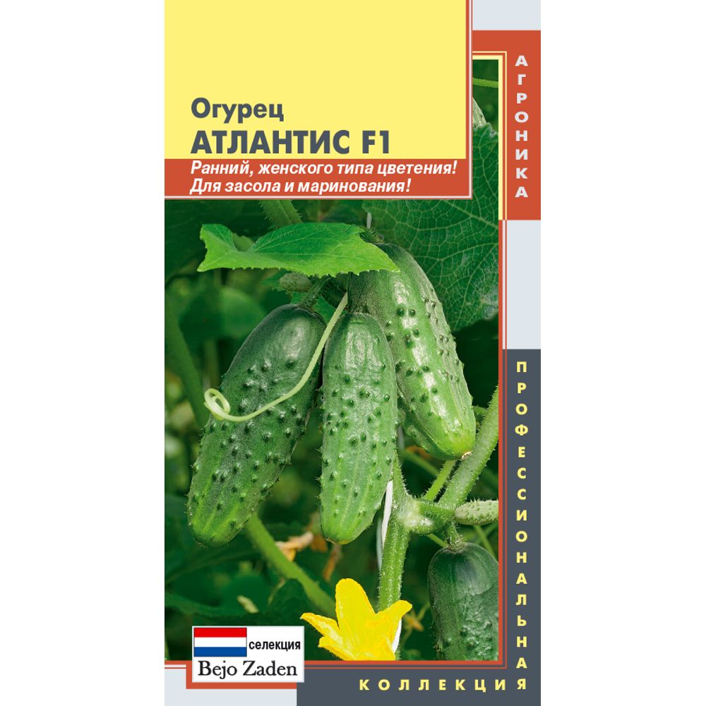 Огурец Атлантис F1 10 шт Плазменные семена