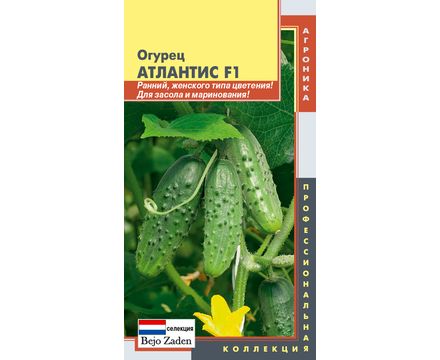 Огурец Атлантис F1 10 шт Плазменные семена
