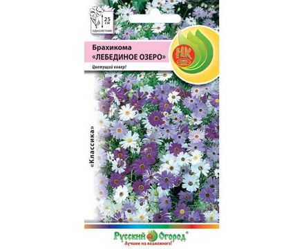 Цветы Брахикома Лебединое озеро 0,1г Русский огород