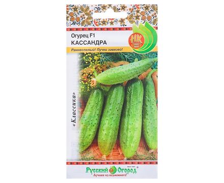 Огурец Кассандра 8шт Русский Огород