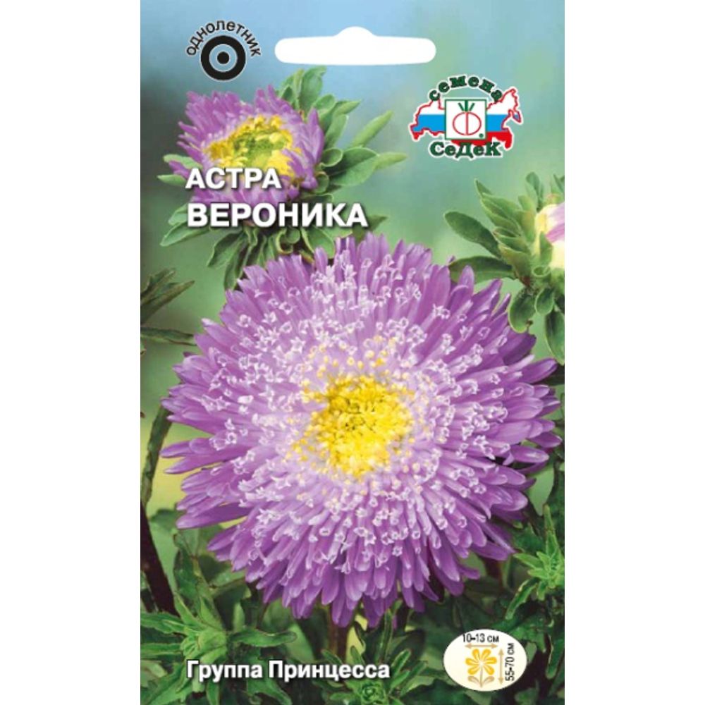 Астра Вероника принцесса фиолетово-пурпурная 0,2г Седек