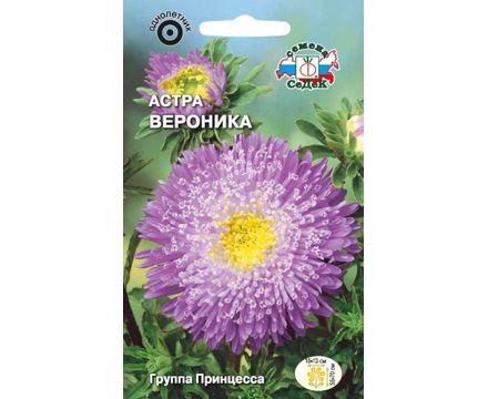 Астра Вероника принцесса фиолетово-пурпурная 0,2г Седек