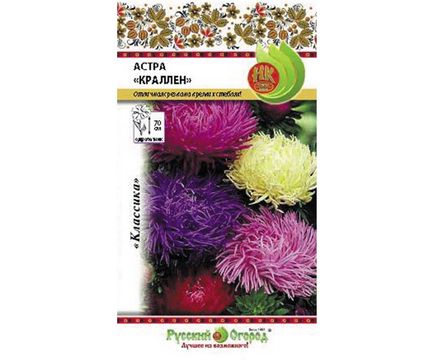 Цветы Астра Краллен 0,3г Русский огород