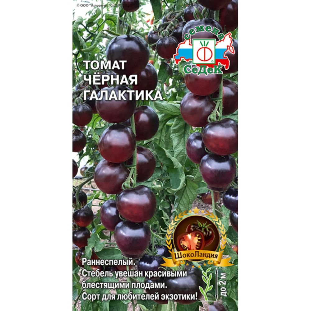 Томат Черная галактика 0,05г Седек
