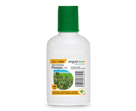 Ракурс 48мл 