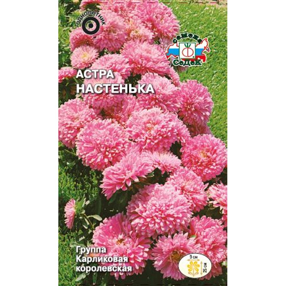 Астра Настенька королевская карликовая 0,2гр
