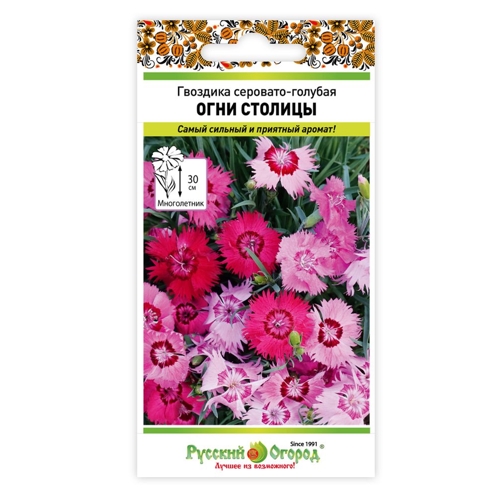 Цветы Гвоздика серовато-голубая Огни Столицы 5шт Русский огород