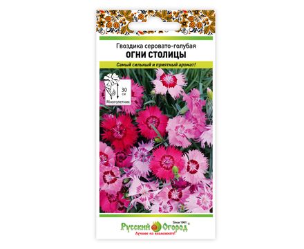Цветы Гвоздика серовато-голубая Огни Столицы 5шт Русский огород