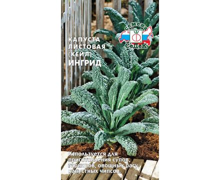 Капуста листовая Ингрид 0,3г СеДеК