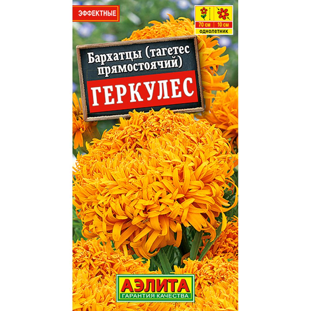 Бархатцы Геркулес прямостоячие 0,1г Аэлита