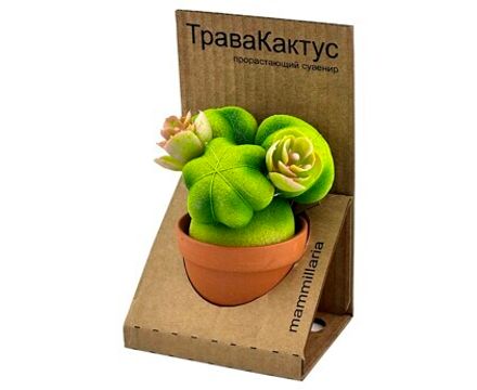 ТраваКактус Маммиллярия зеленый
