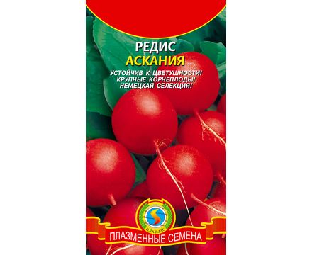 Редис Аскания 2г Плазменные семена