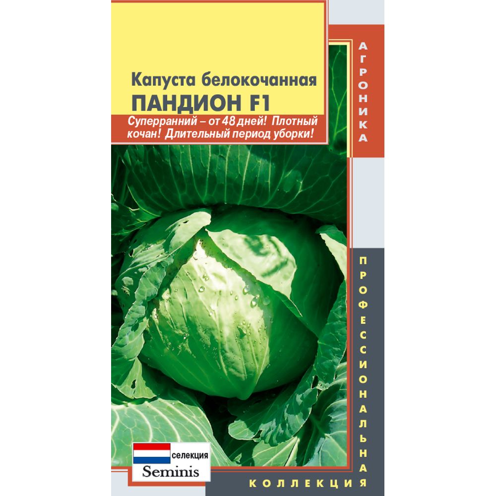 Капуста б-к Пандион F1 10 шт Плазменные семена