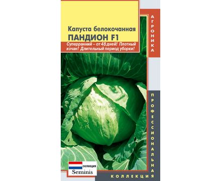 Капуста б-к Пандион F1 10 шт Плазменные семена