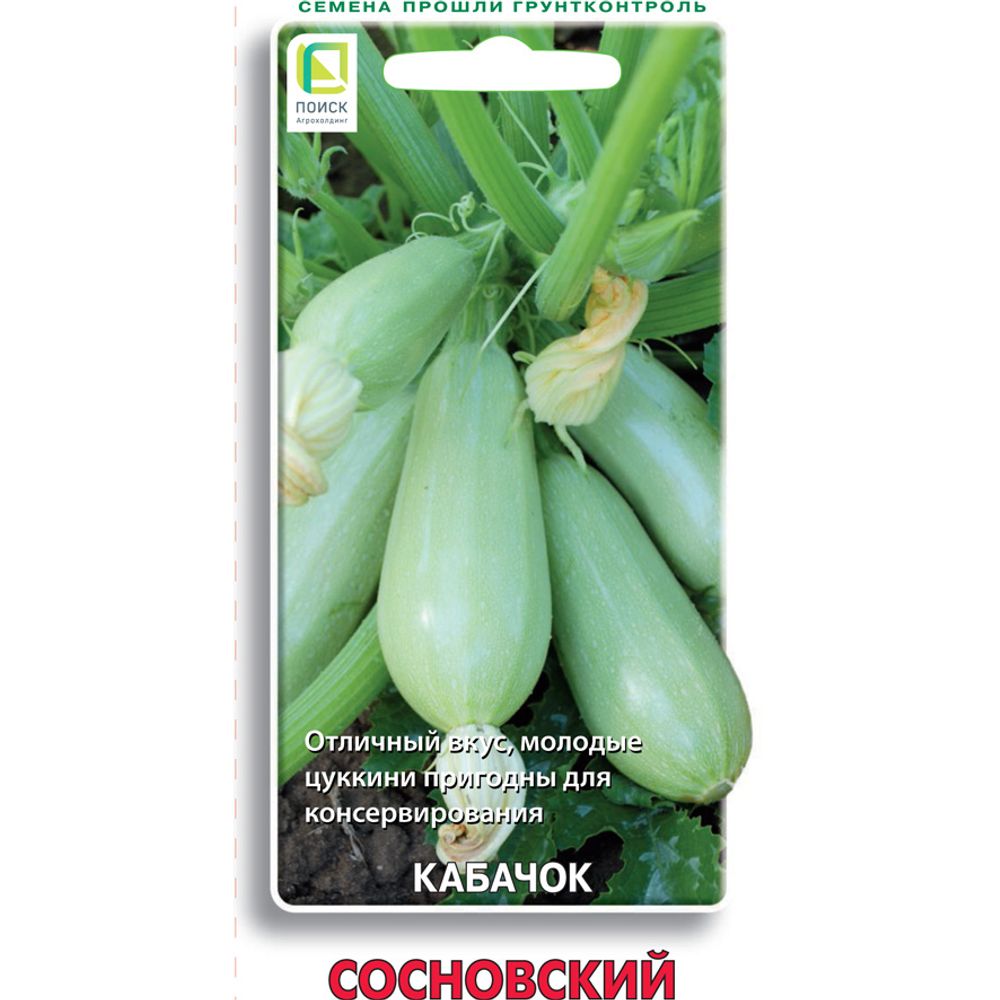 Кабачок Сосновский 12 шт. Поиск 